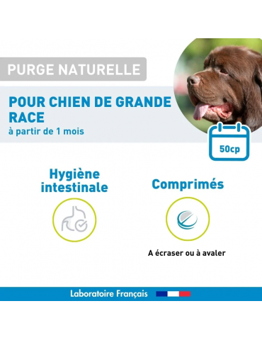 Description du produit purge naturelle chien grande race Vetoform