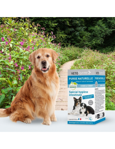 chien à côté du produit purge naturelle chien Vetoform en comprimés