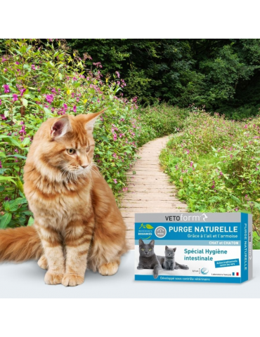 Chat à côté du produit purge naturelle chat en 20 comprimés