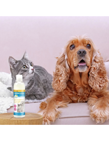 Chien et chat sur un canapé rose à côté du produit shampooing sans rinçage vetoform