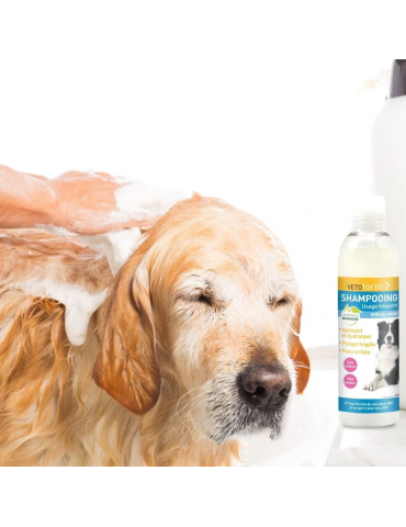 Chien qui se fais shampooiner avec le shampooing usage fréquent de vetoform