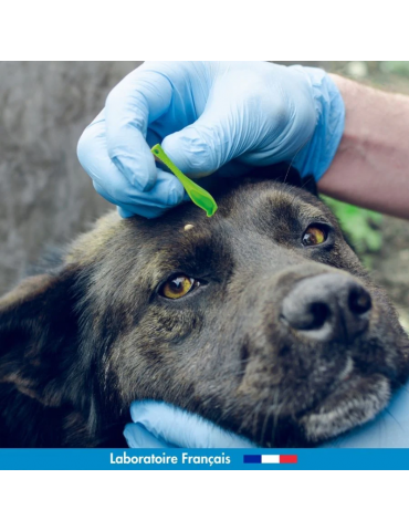 Chien qui se fait retirer une tique avec le tire tique croch'tiq vetoform