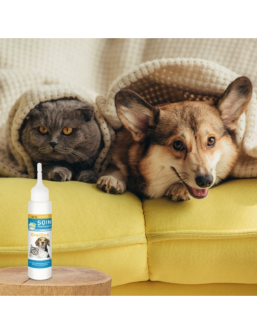 chien et chat assis sur un canapé jaune enroulés dans une couverture devant le produit lait nettoyant oreilles vetoform