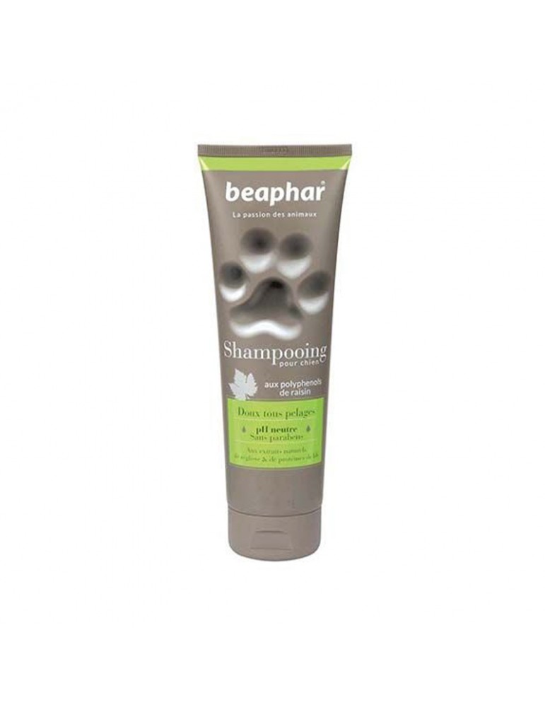 Shampooing Doux Tous Pelages Chiens