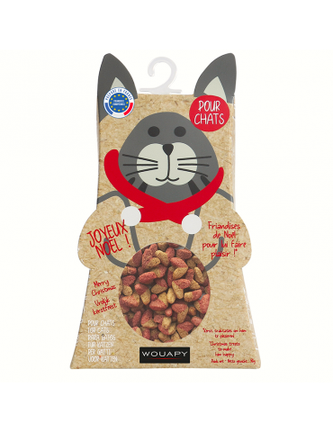 Boîte de friandises de Noël pour chat
