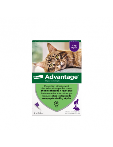 Boîte de 4 pipettes Elanco Advantage Pour Chats et Lapins de + de 4 kg