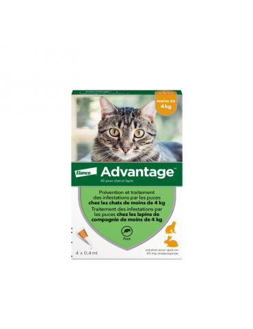 Boîte de 4 pipettes Elanco Advantage Pour Chats et Lapins de - de 4 kg