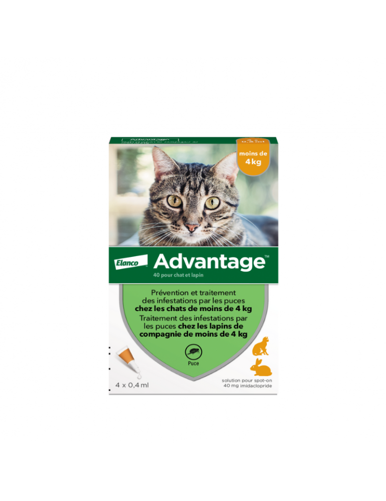 Boîte de 4 pipettes Elanco Advantage Pour Chats et Lapins de - de 4 kg