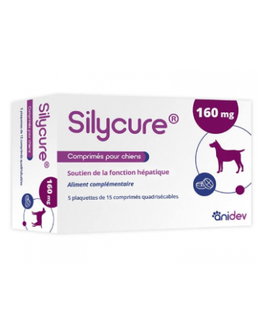Boîte de silycure 160 mg