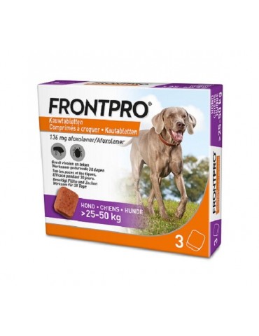 Boite de frontpro taille XL