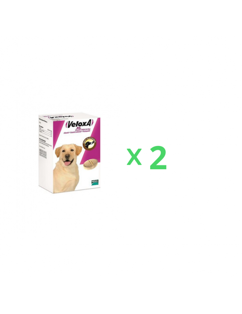 Pack de 2 boîte de Veloxa XL pour grand chien