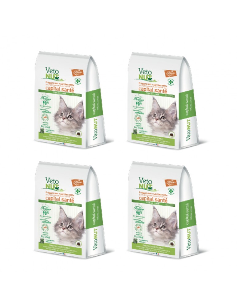 VetoNut Special Chat Junior Lot de 4 VetoNut Special Chat Junior Lot de 4