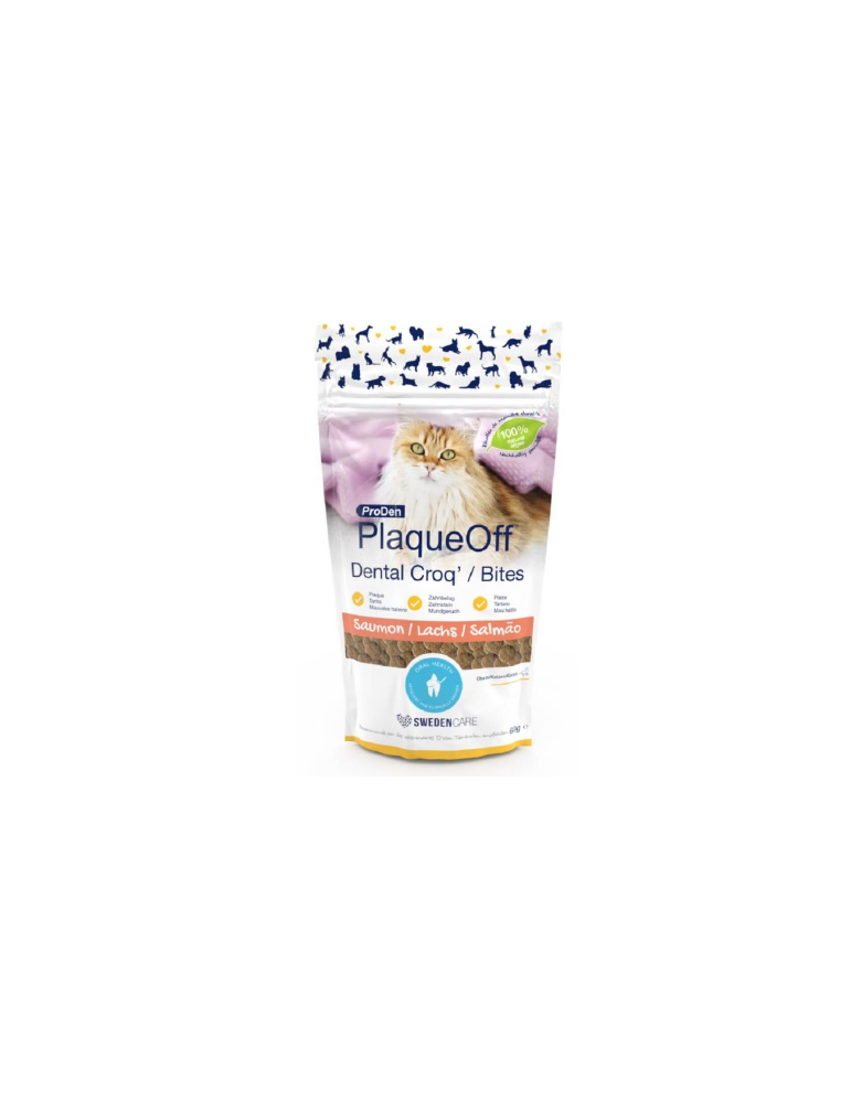 Sachet de 60 g de PlaqueOff Dental Croq' pour Chat au Saumon