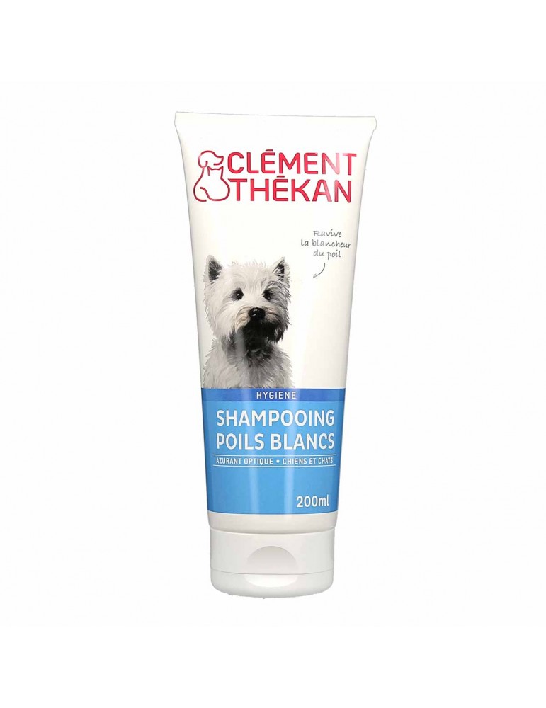 Shampooing Poil Blanc Clement Thekan