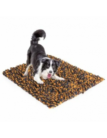 Chien sur tapis de fouille