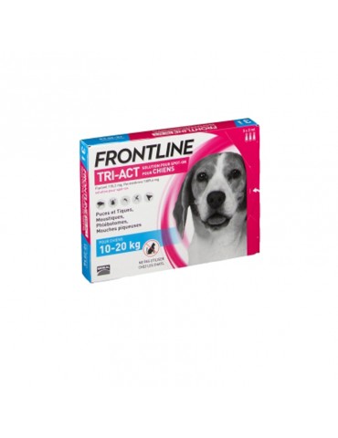 Boîte de 3 pipettes Frontline Tri-Act Chien M