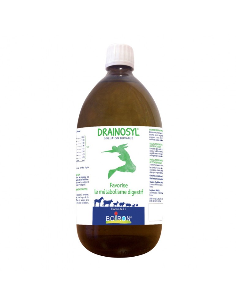 Bouteille de Drainosyl Boiron 1L