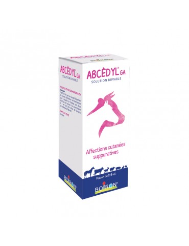 Boîte d'Abcèdyl pour grands animaux de 125 ml