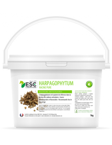 Seau de 1 kg de Harpagophytum ESC