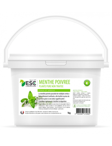 Seau de Menthe Poivrée 1 kg ESC