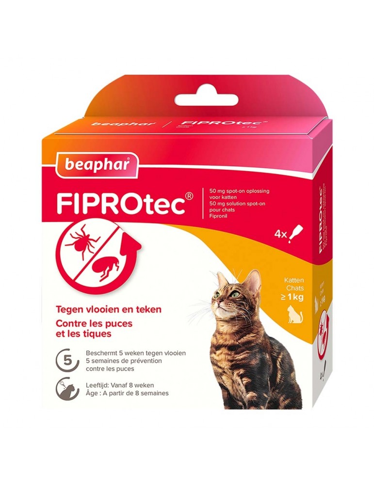 Boîte de 4 pipettes fiprotec chat