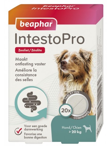Boîte de comprimés Intestopro pour grand chien