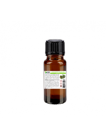 flacon d'huile essentielle de pin sylvestre