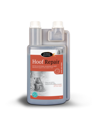 Hoof Repair