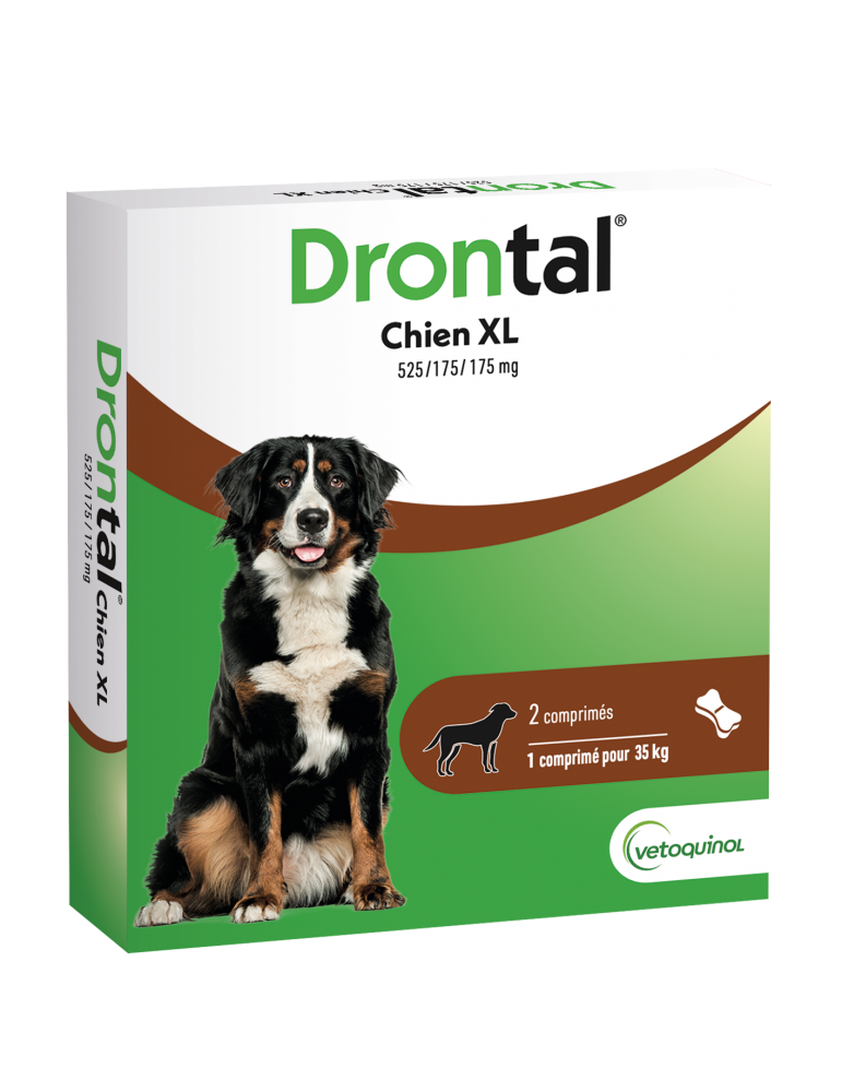 Boîte de drontal XL Boîte de drontal XL