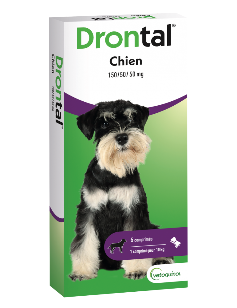 Boîte de Drontal Vetoquinol Chien Vermifuge Polyvalent 6 comprimés Boîte de Drontal Vetoquinol Chien Vermifuge Polyvalent 6 comprimés