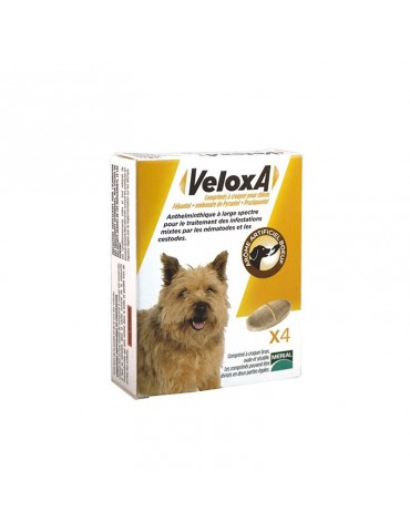 Veloxa Vermifuge Chien X4...