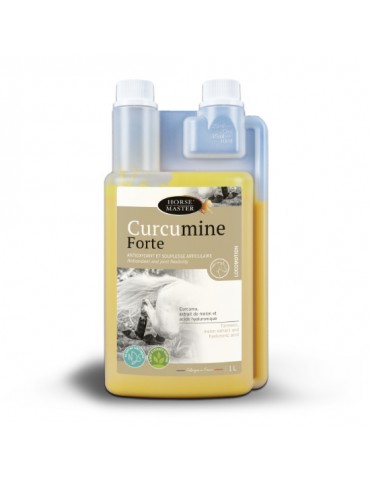 Bouteille de 1L Curcumine