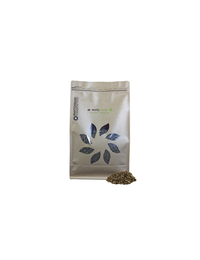 Sac de Phyto Forme Sac de Phyto Forme