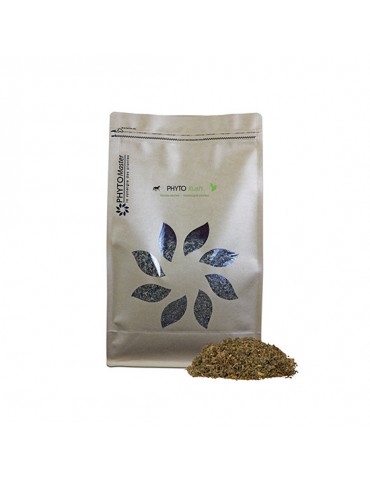 Sac de Phyto Kush