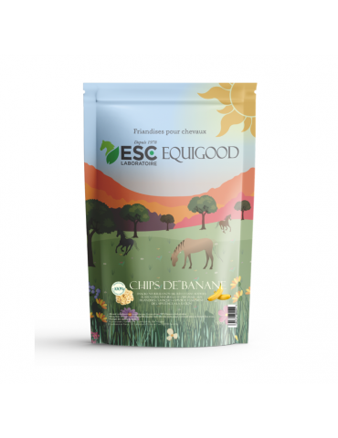 Sachet de 500 g de chips de banane