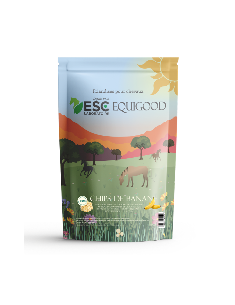 Sachet de 500 g de chips de banane Sachet de 500 g de chips de banane