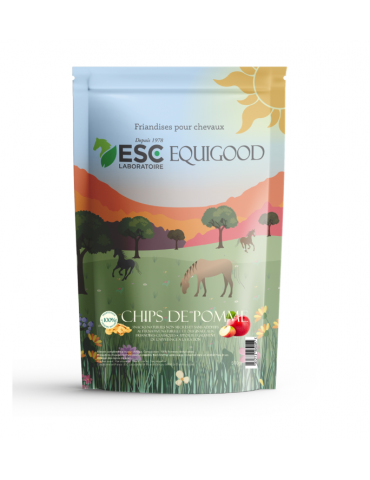 Sachet de 500 g de chips de pomme