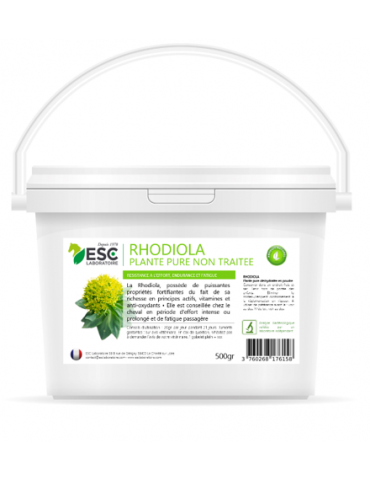 seau 1 kg de Rhodiola