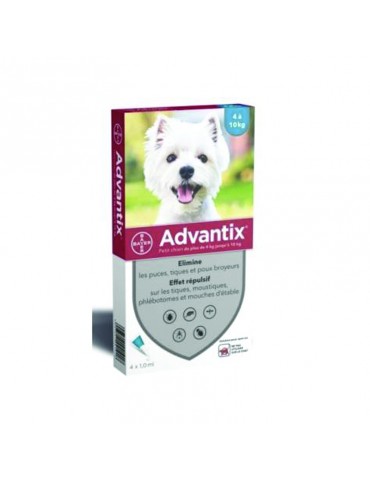 Boîte advantix petit chien bayer