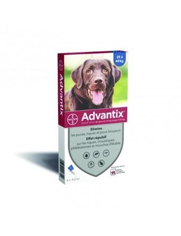 Boîte advantix grand chien bayer