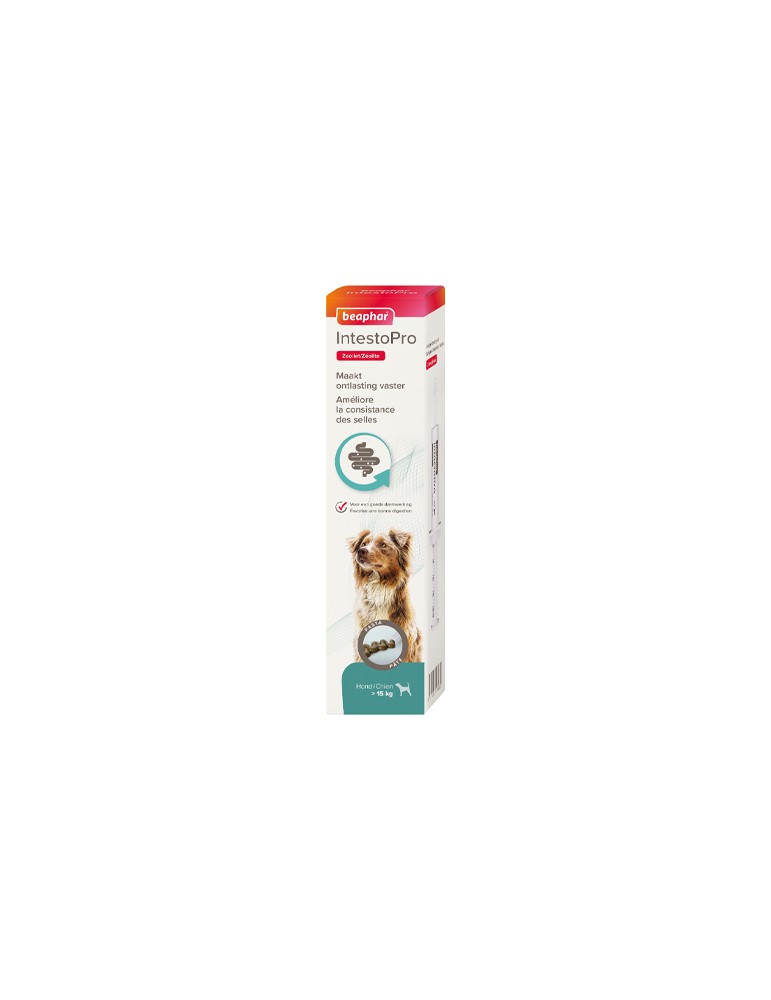 IntestoPro Pâte pour Améliorer la Consistance des Selles Grand Chien IntestoPro Pâte pour Améliorer la Consistance des Selles Grand Chien