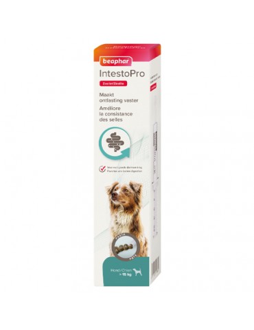 IntestoPro Pâte pour Améliorer la Consistance des Selles Grand Chien