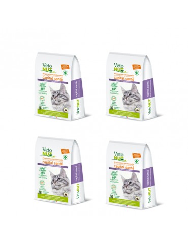 VetoNut Chat Special Digestion Hypoallergénique Lot de 4