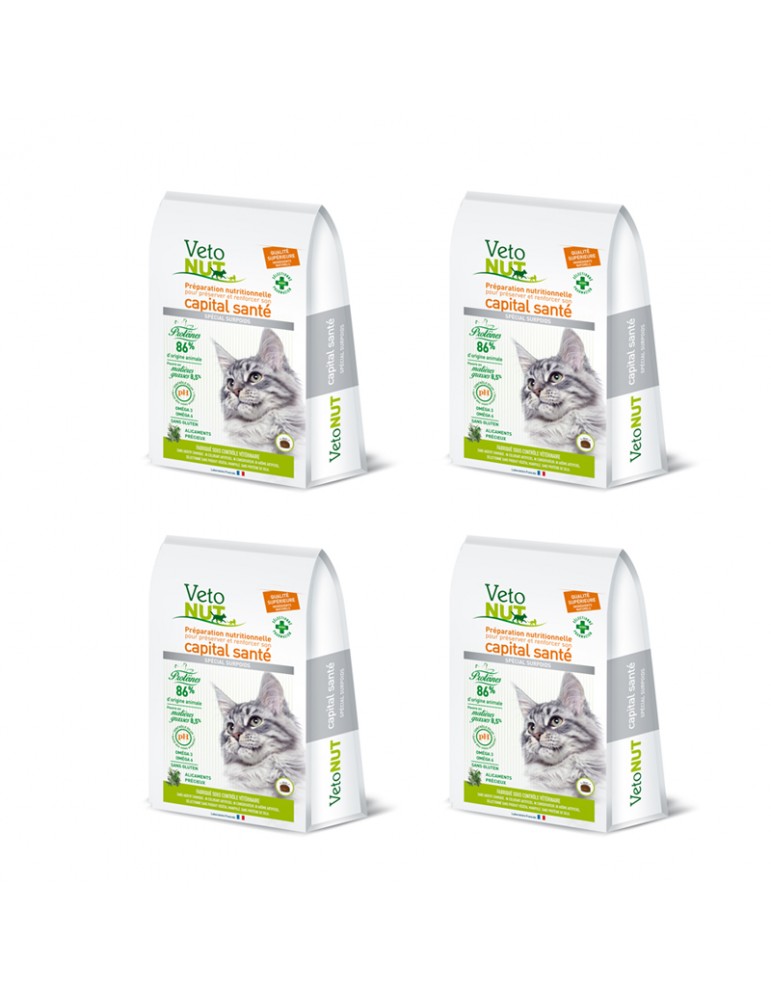 VetoNut Chat Special Surpoids Lot de 4