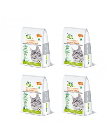 VetoNut Chat Special Surpoids Lot de 4