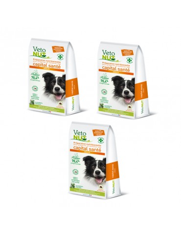 VetoNut Chien Adulte Lot de 3