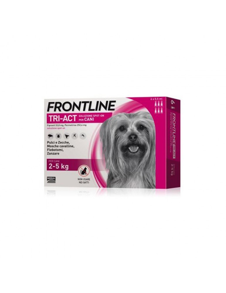 Boîte de 6 pipettes Frontline Tri-Act Chien XS
