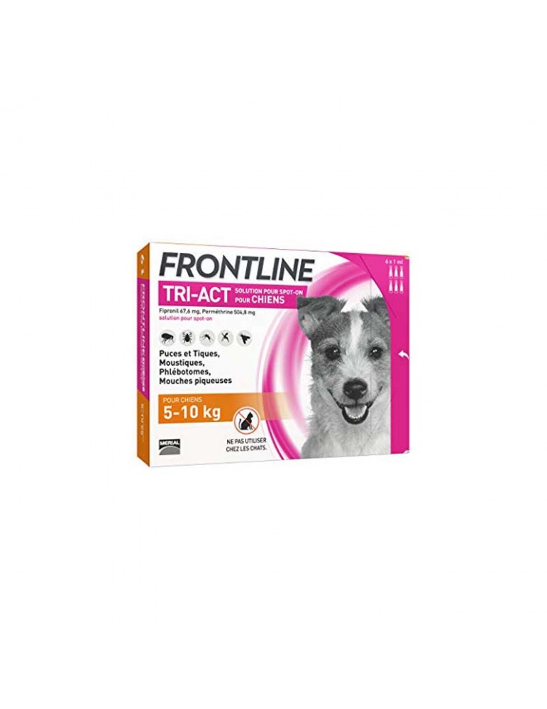 Boîte de 6 pipettes Frontline Tri-Act Chien S