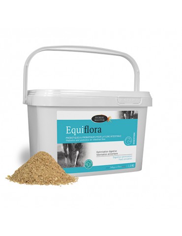 Seau equiflora de 1.5 kg