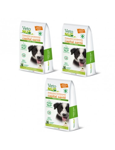 VetoNut Chien Special Junior Lot de 3